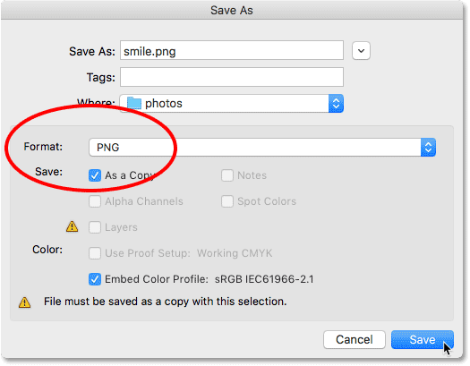 Choosing PNG for the file format in the Save As dialog box.